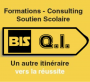 BIS-Q.I.